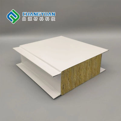 Panel Dinding Cleanroom Modern Tahan Api Pu Foam Sandwich Panel
