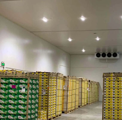 Panel PU ruang dingin yang dapat disesuaikan Kekuatan kompresi tinggi 200kpa dan Panjang disesuaikan untuk kinerja pendinginan yang optimal