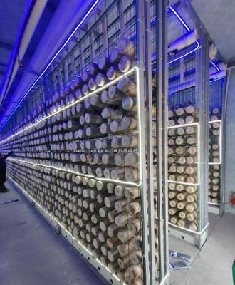 Pertanian Kontainer Jamur Perawatan Rendah dengan Pemantauan Jarak Jauh dan Kontainer Standar 20ft atau 40ft